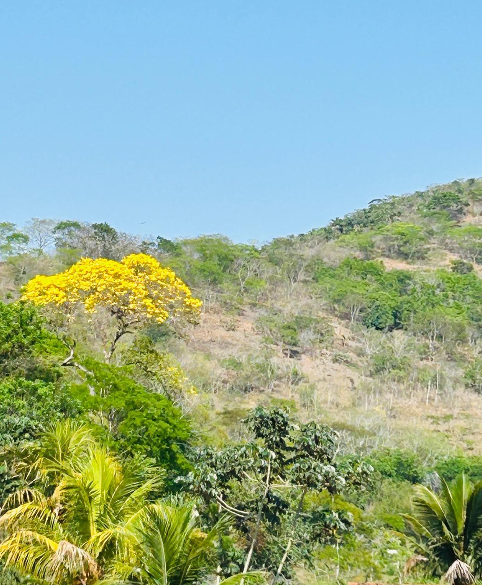 Pousada Casa Do Jova Em Raposo Rj Ngoại thất bức ảnh